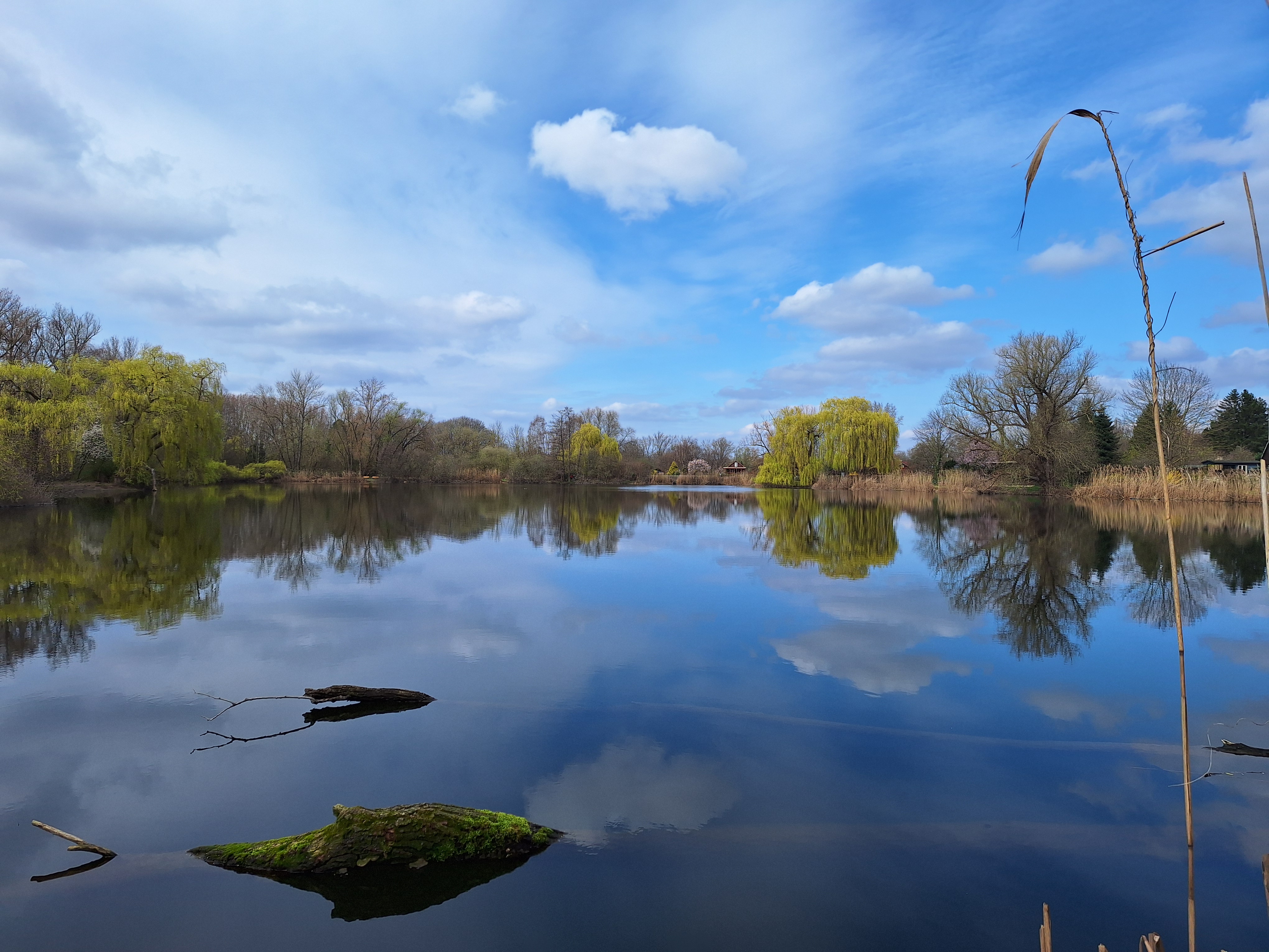 Wülfeler Teich
